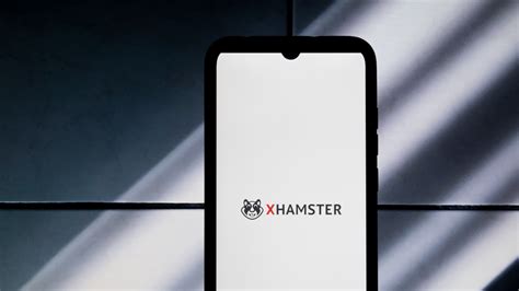 cx hamster|How to unblock xHamster for free 